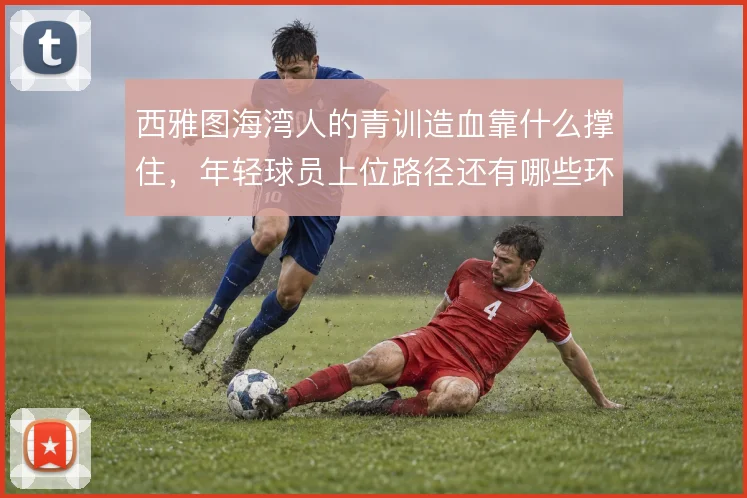 西雅图海湾人的青训造血靠什么撑住，年轻球员上位路径还有哪些环节