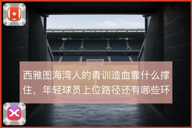 西雅图海湾人的青训造血靠什么撑住，年轻球员上位路径还有哪些环节